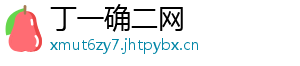 丁一确二网